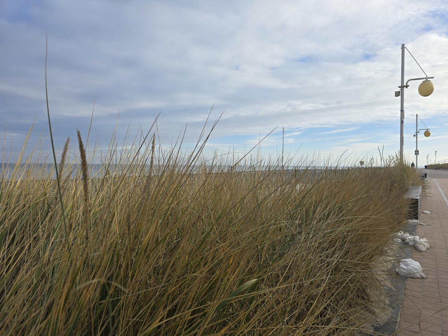 meerundpfote.de - Header 4